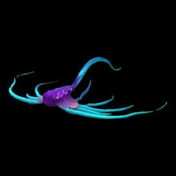 Hollow Raider